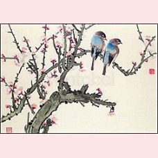 Pair of birds on a cherry branch